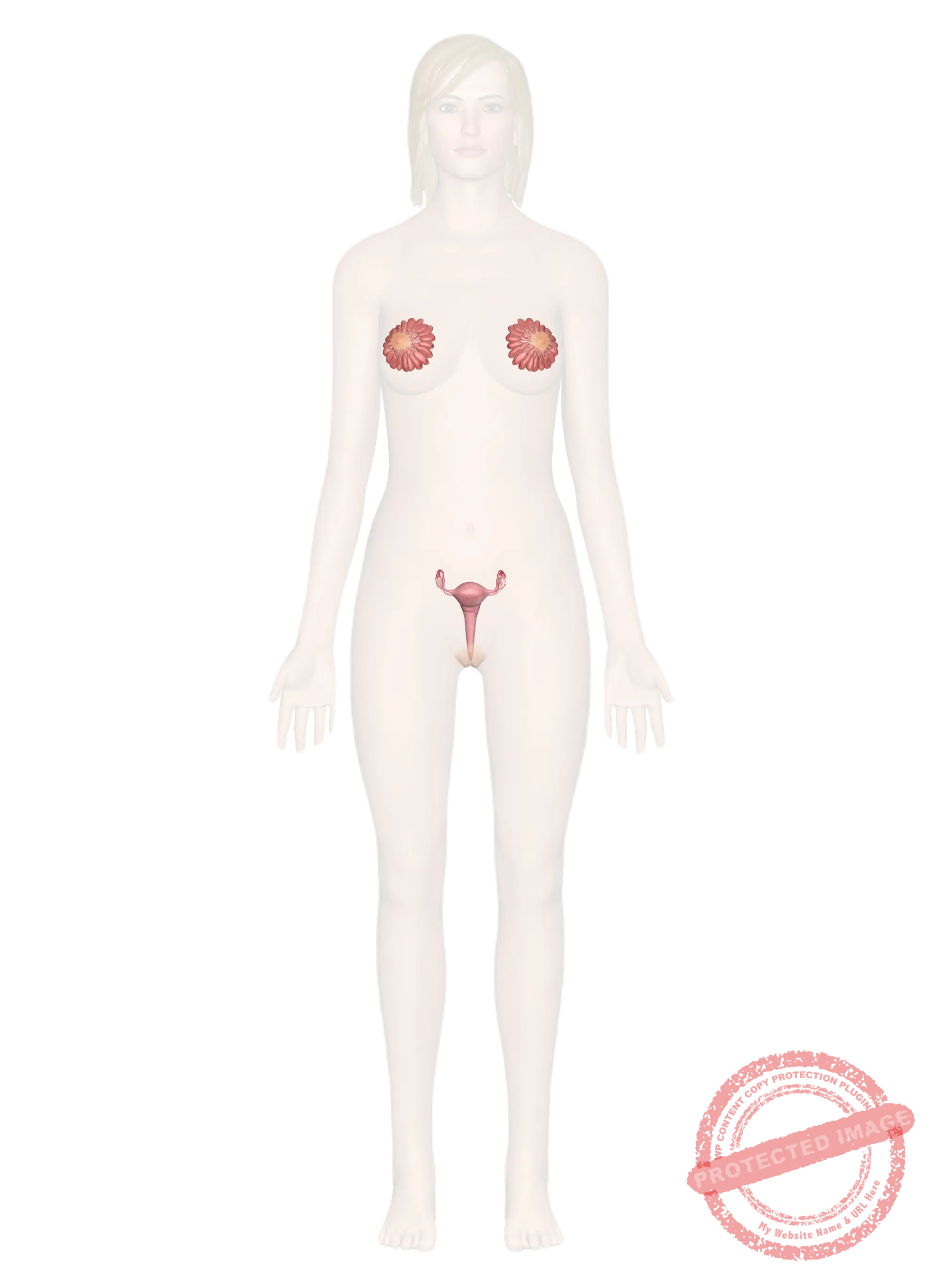 Female health issues have exemplary outcomes with treatment at HomeopathyOne.