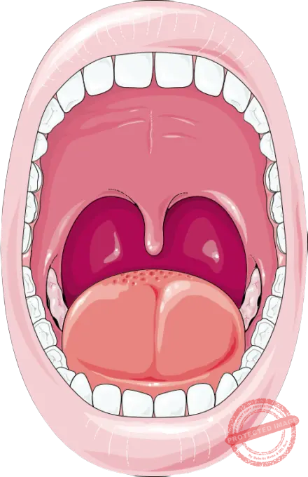 Oral and dental issues are treated effectively by specialists with care at HomeopathyOne.