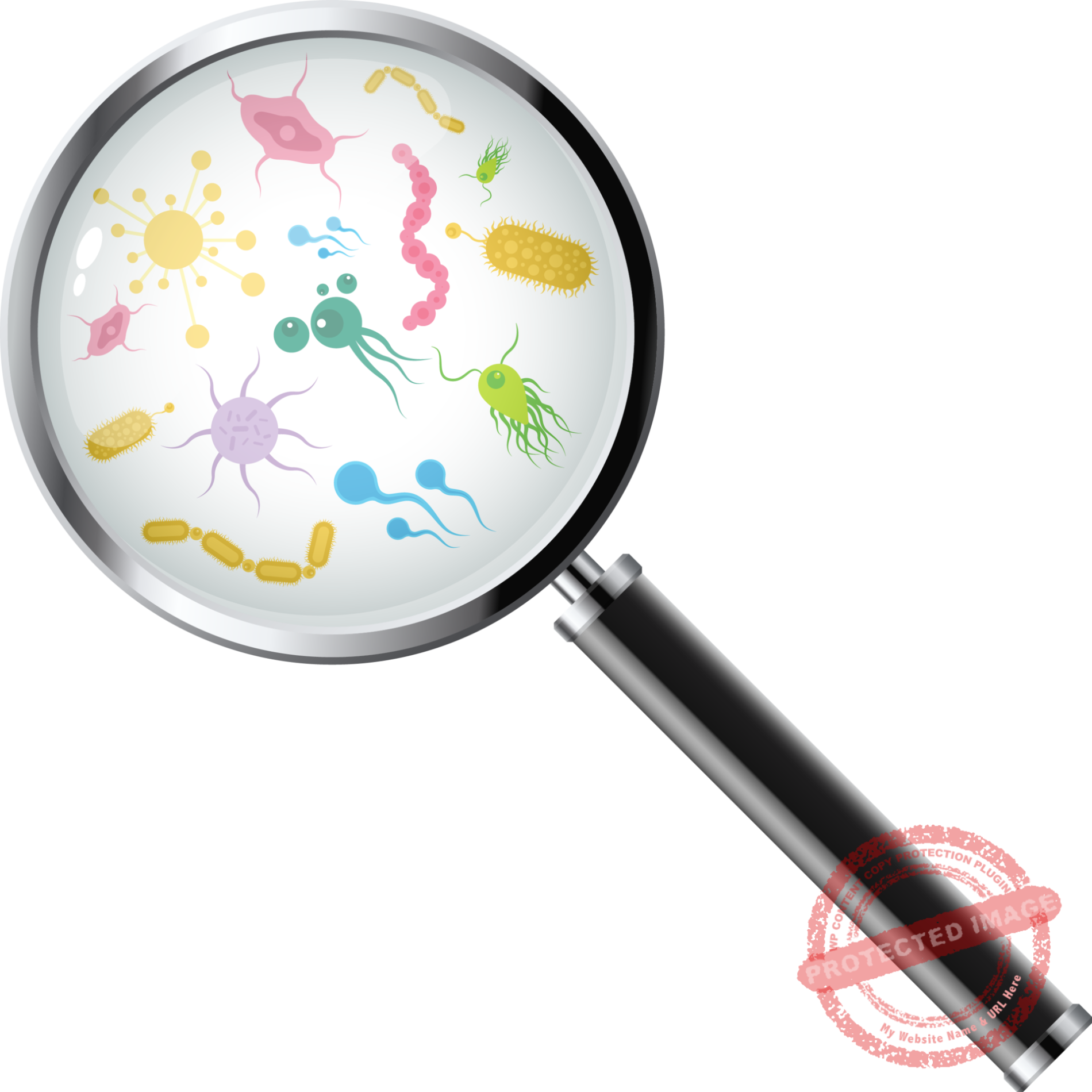 Infections are treated effectively with better recovery and cure.