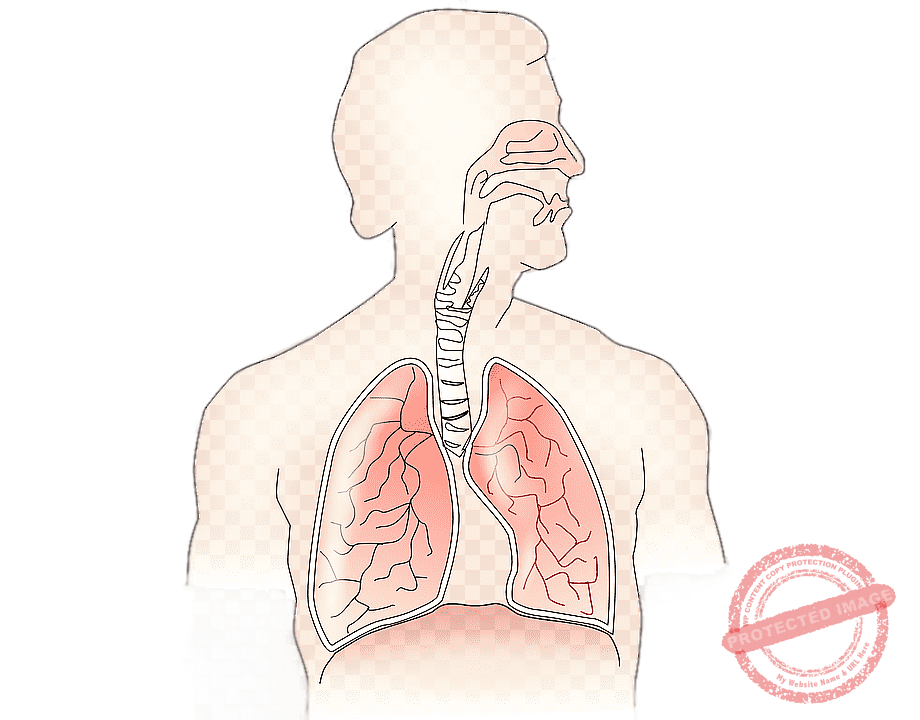 Lungs and airway disorders are treated effectively by specialists with care at HomeopathyOne.